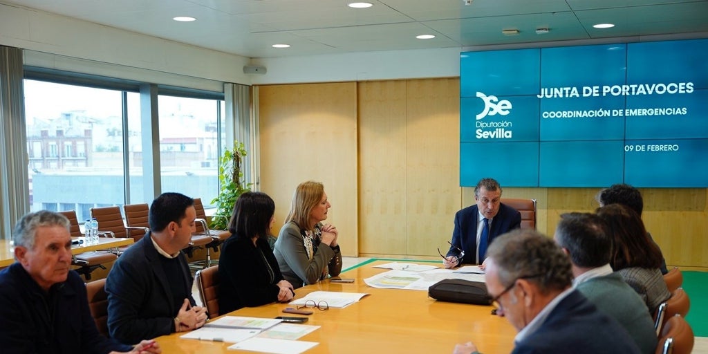 La Diputación de Sevilla asegura que el Gobierno pondrá en marcha medidas «inmediatas» por las pérdidas  de las inundaciones