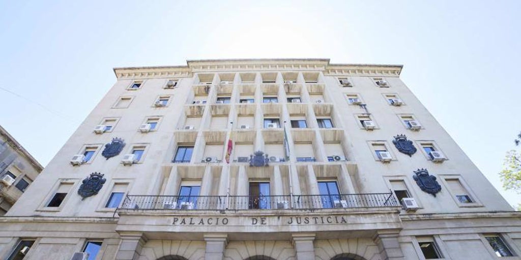 Piden ocho años de prisión para la mujer que intentó matar a su pareja a cuchilladas en Sevilla