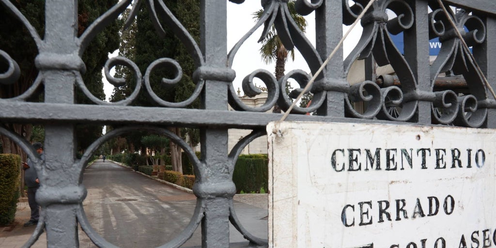 La caída de 60 árboles impide que el Cementerio de Sevilla abra sus puertas y obliga a plantear itinerarios seguros