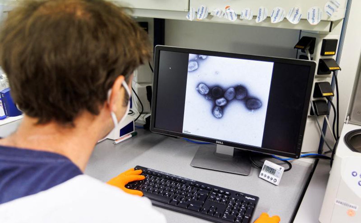 Un investigador frente a una imagen del virus