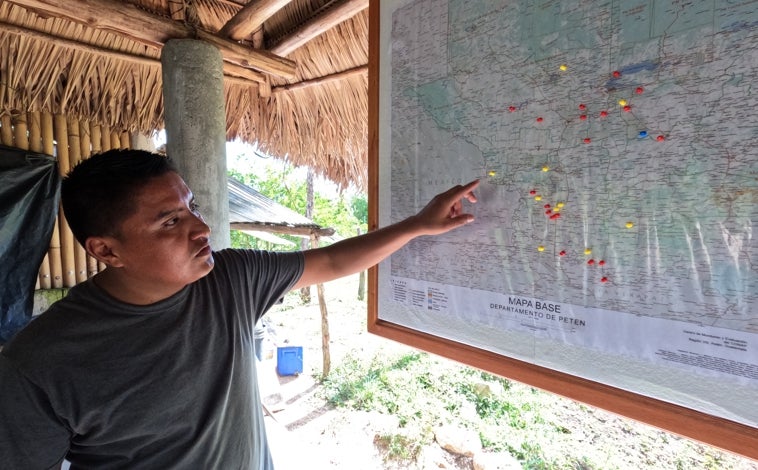 Imagen principal - Virgilio (imagen superior) muestra dónde trabajan en Petén. Quiere expandirse a los 22 departamentos. Abajo, en los años 90, en brazos de su tío, guerrillero, cerca de la frontera con México y en la actualidad, en el vivero antes de trasplantar los árboles