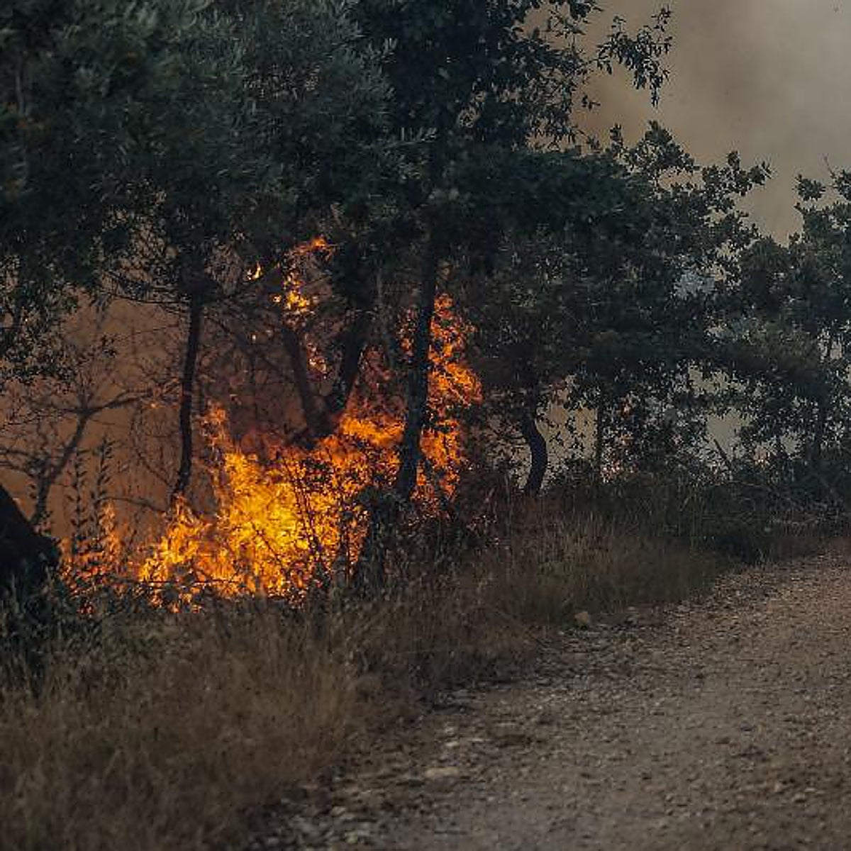 Los incendios llevan a Portugal a asomarse al apocalipsis