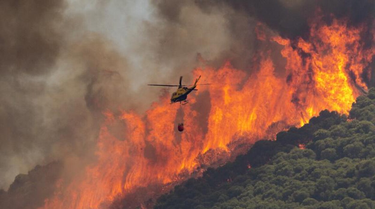 España en llamas: 29 incendios siguen sin control, de los 44 activos este viernes negro