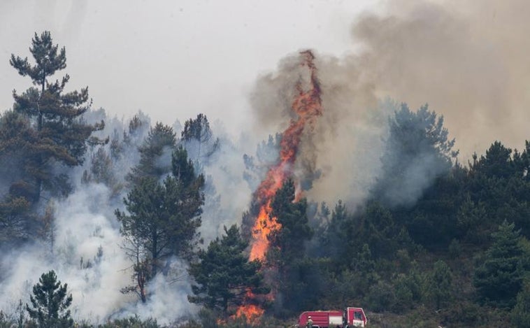 Más de 4.000 hectáreas quemadas en los incendios en Galicia, casi 2.000 en Folgoso do Courel