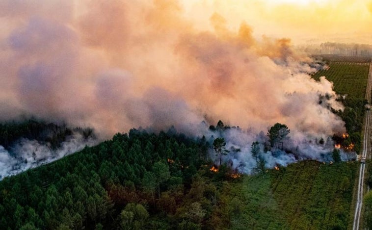 Más de 10.000 hectáreas calcinadas por los incendios en Francia