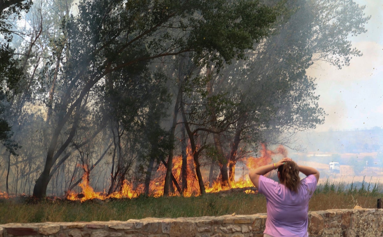 Renfe suspende todas las circulaciones ferroviarias entre Galicia y Madrid por el incendio de Zamora