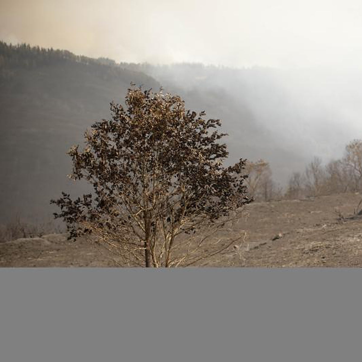 Dos muertos en Zamora y una veintena de incendios activos en España