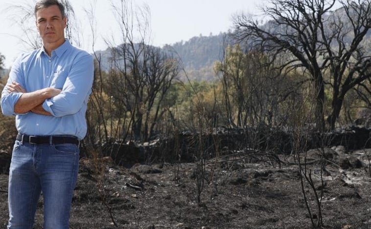 Sánchez responsabiliza al cambio climático de los incendios en España