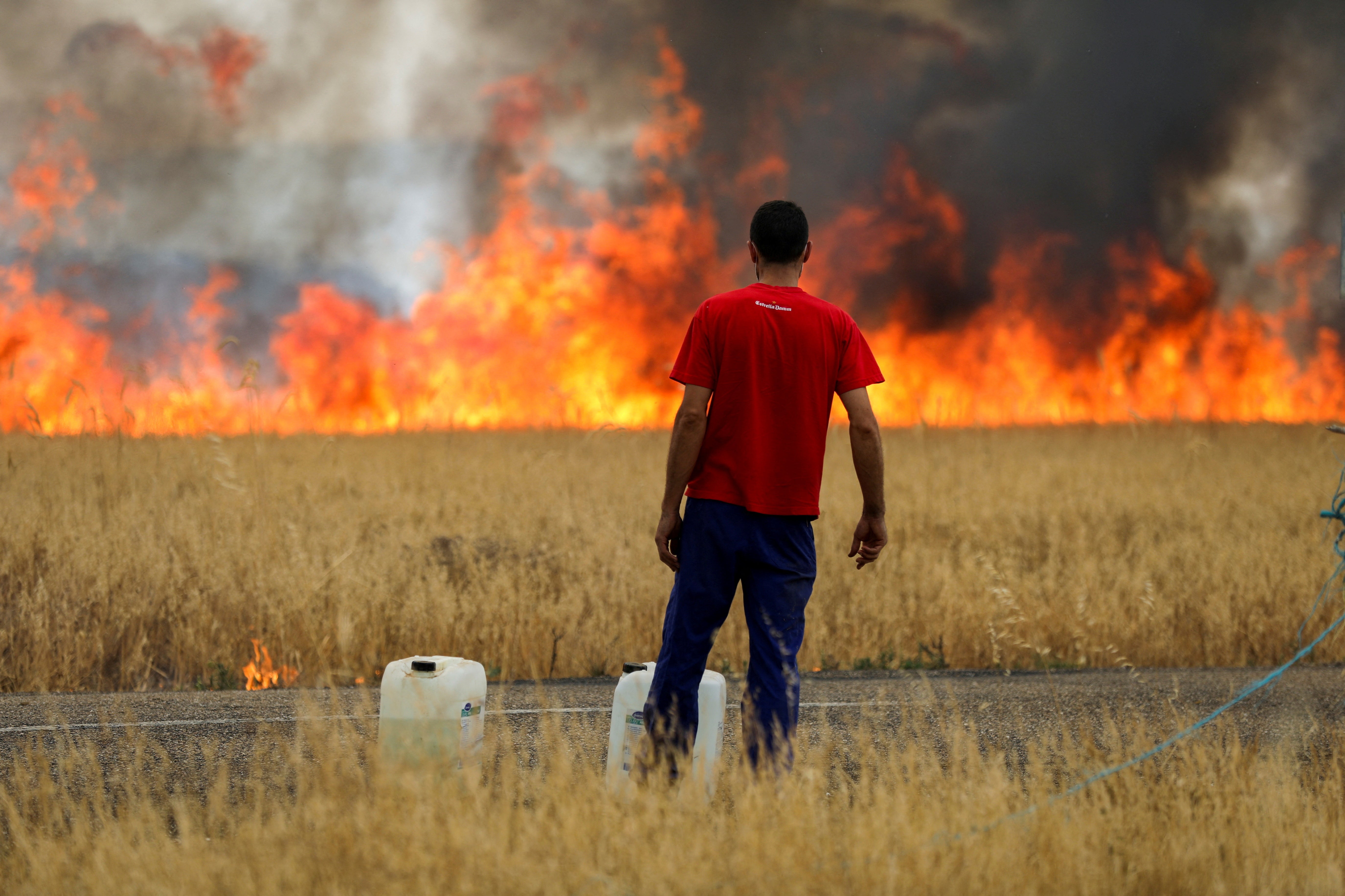 Un hombre observa el fuego ocurrido entre los pueblos de Tábara y Losacio, en Zamora