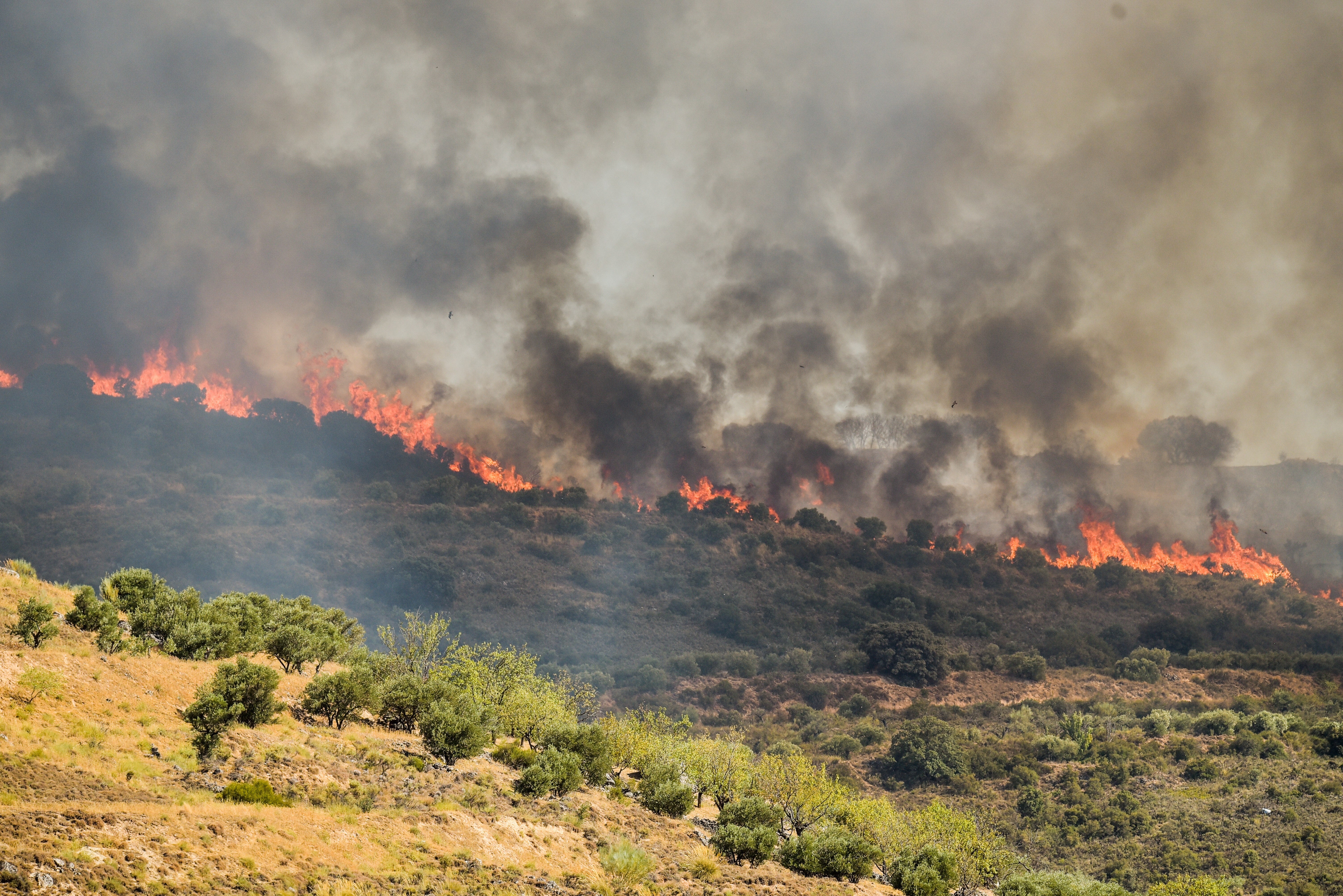 Vista general del incendio provocado en Chiloeches, Guadalajara