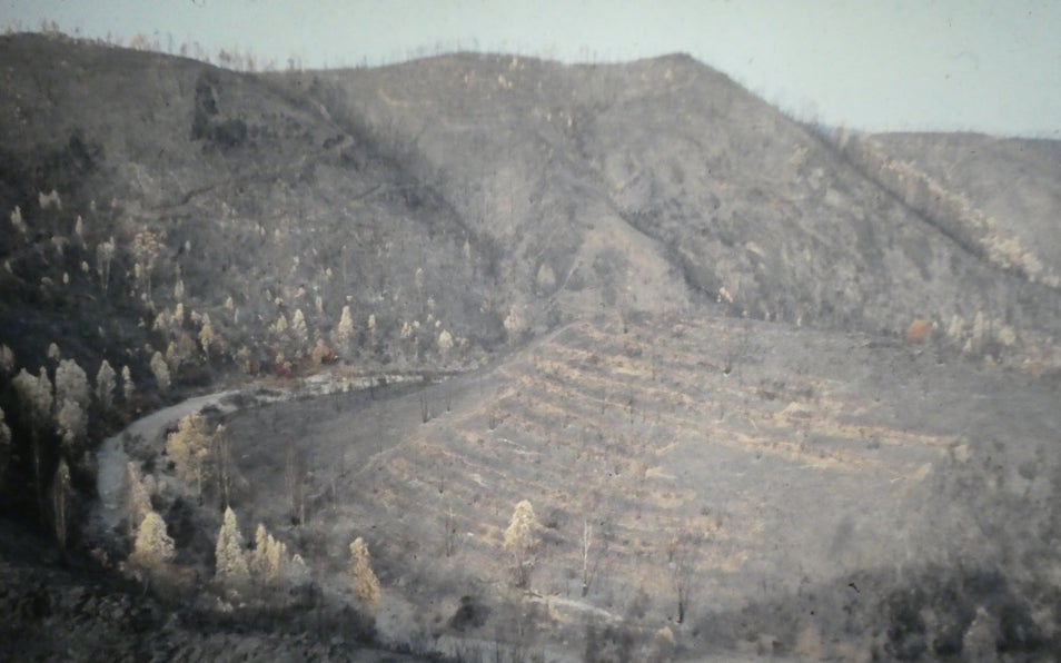 Imagen antes - El entorno de Berrocal, tras el fuego y 18 años después