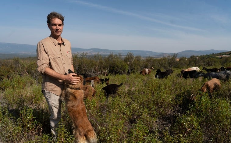 Cabras con GPS y otros rebaños que luchan contra el fuego