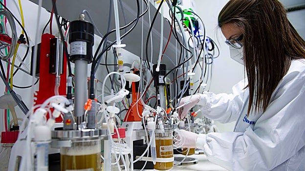 Una investigadora trabaja en el desarrollo de la vacuna española de Hipra