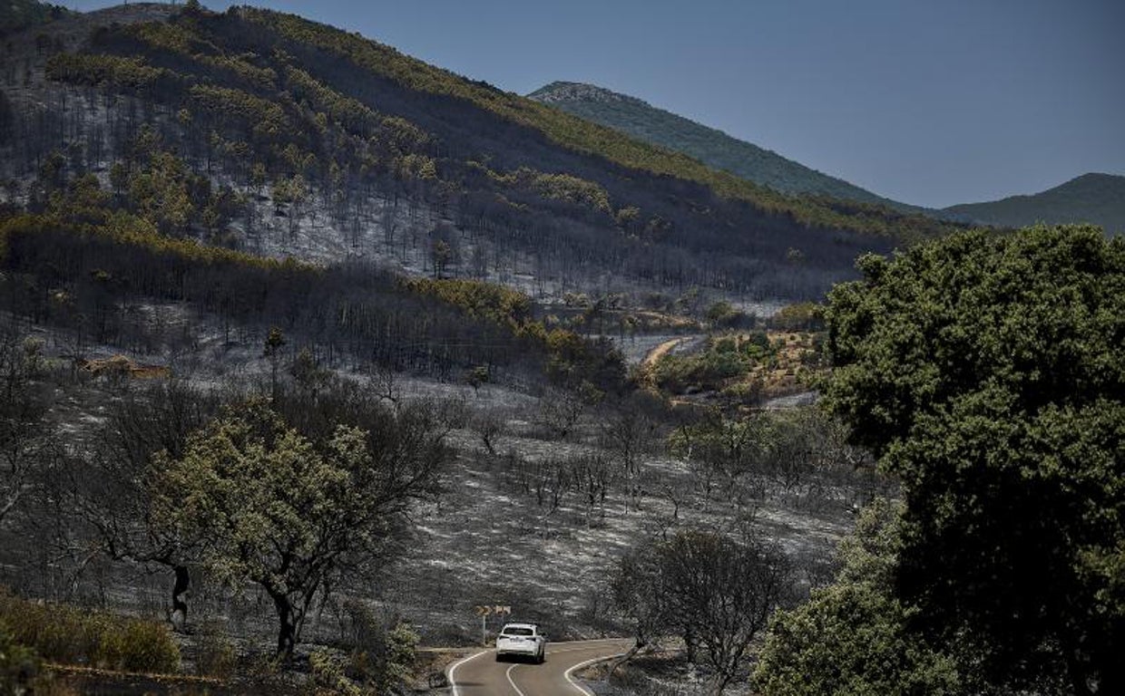 Zona del incendio forestal que se originó este viernes en Sevilleja de la Jara (Toledo)