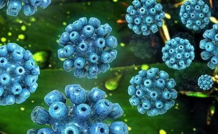 Hepatitis de origen desconocido en niños: Sanidad confirma las dos primeras muertes