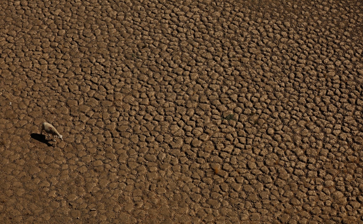 Embalse de Cíjara (Huelva)