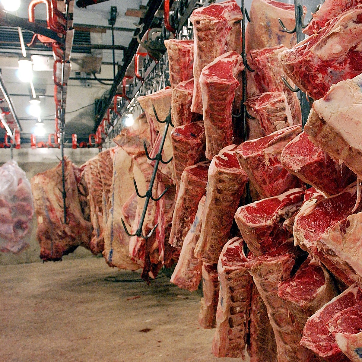 Los animalistas dudan de que las cámaras de vigilancia en los mataderos sirvan para mejorar el bienestar de los animales