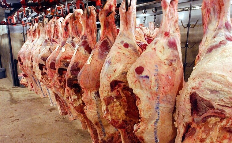 Por qué el bienestar animal mejora la calidad de la carne que consumimos