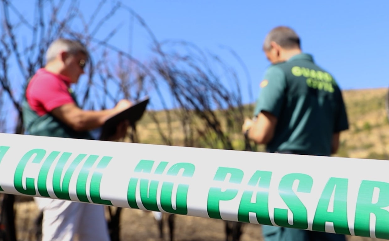 Agentes del Seprona trabajando sobre el terreno
