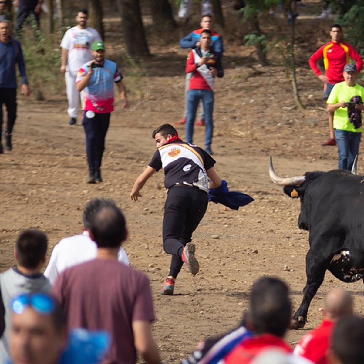 El Gobierno pide a la Fiscalía la paralización del 'Toro de la Vega' de Tordesillas