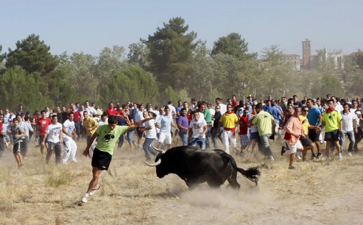 Celebración del Toro de la Vega, en Tordesillas