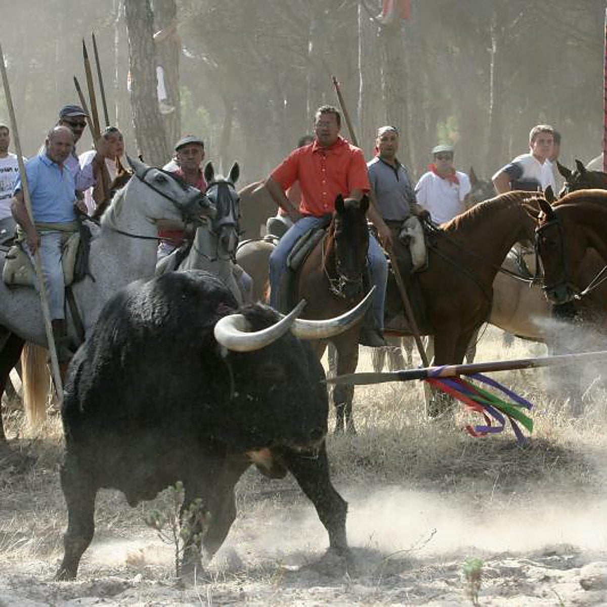 Belarra solicita a Interior que se cumpla la decisión judicial de no lancear al Toro de la Vega