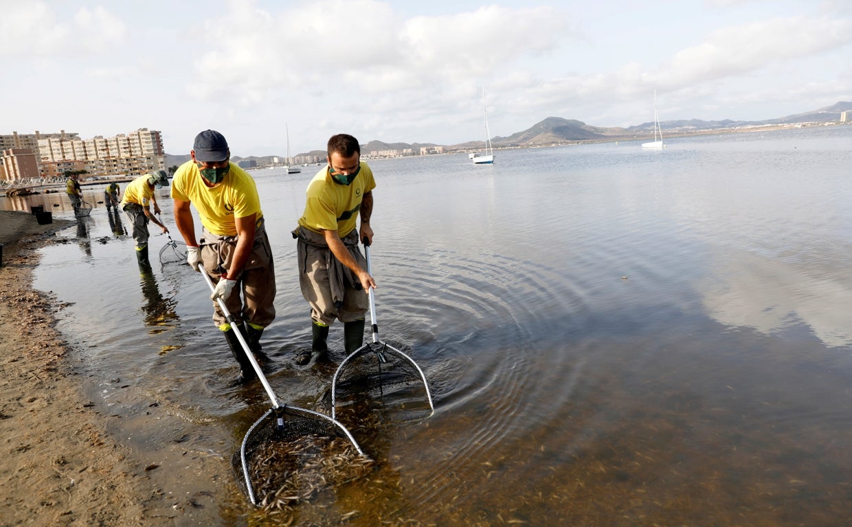 Operarios municipales limpian la contaminada laguna salada, en agosto de 2021