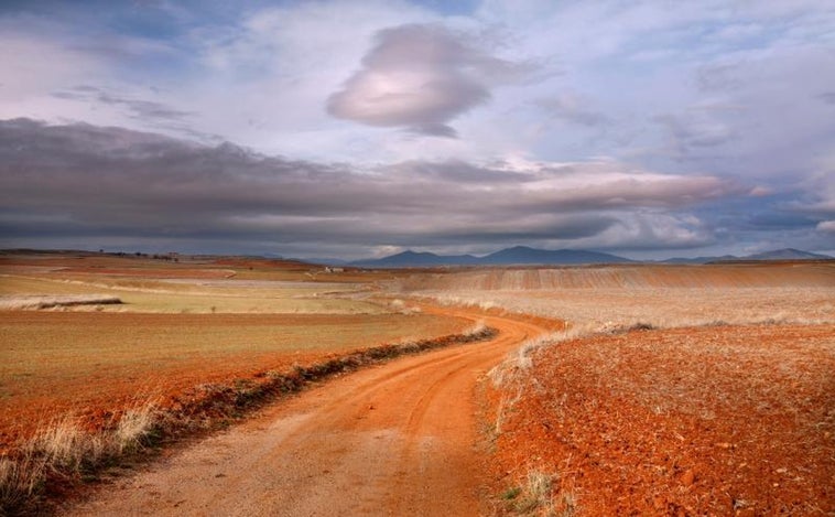 El clima árido avanza en España a 1.500 km2 al año