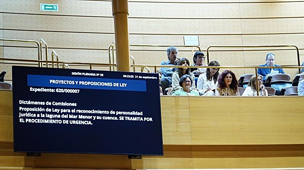 Público asistente al debate en la Cámara Alta para la aprobación de la ILP