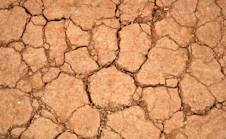El año hidrológico termina entre los tres más secos en España en 60 años, con un 26% menos de lluvia de lo normal
