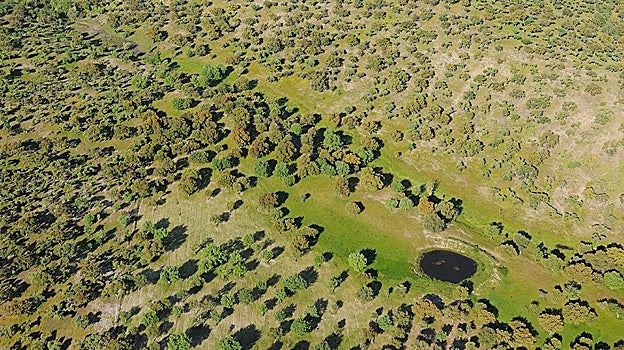 Muestra aérea de las charcas en Campanarios de Azaba (Salamanca)