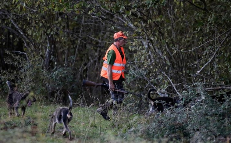 Científicos y veterinarios  muestran su oposición a la «ley animalista» del Gobierno