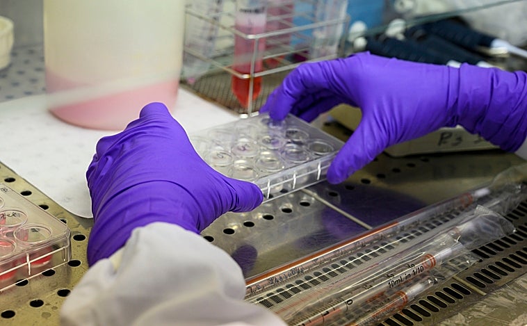 El CSIC presenta un spray nasal y anticuerpos contra el Covid-19