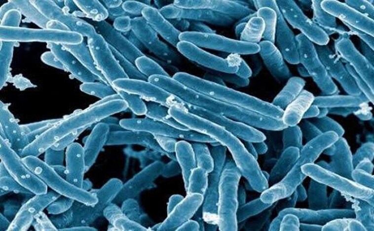 La OMS advierte de un aumento de los casos de tuberculosis durante la pandemia de Covid