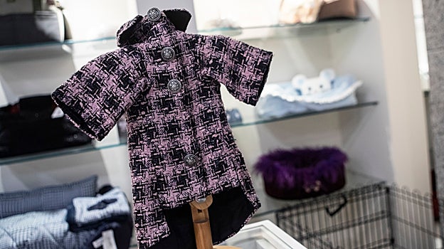 Un trajecito estilo Chanel en la tienda para animales Luxury Pets