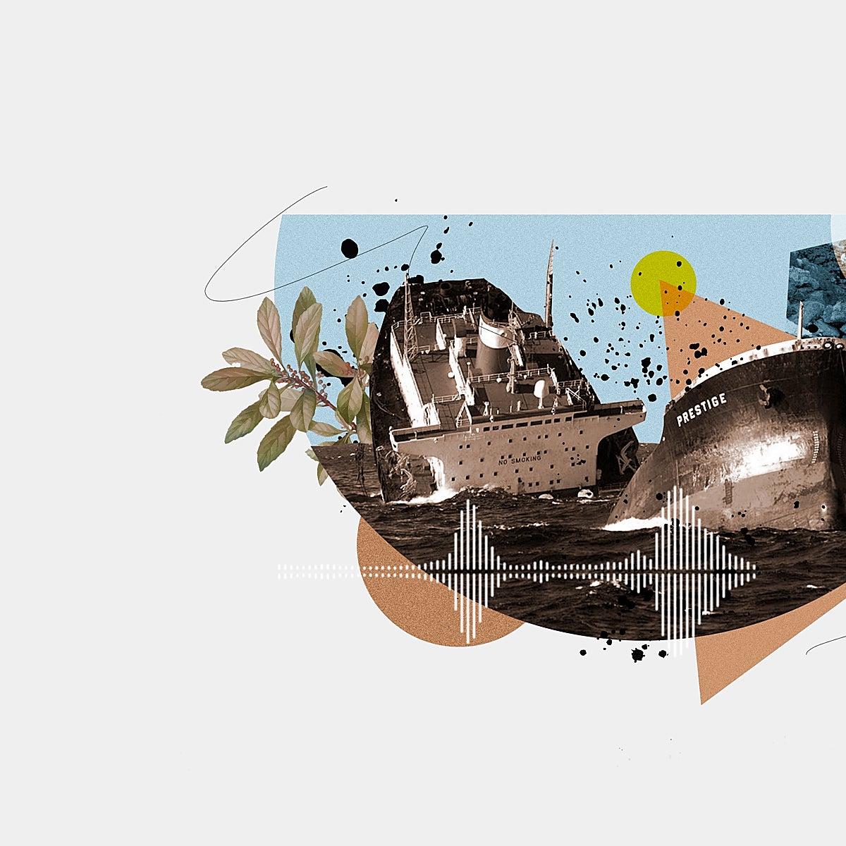 Los 20 años después del Prestige: las vidas que cambió el chapapote