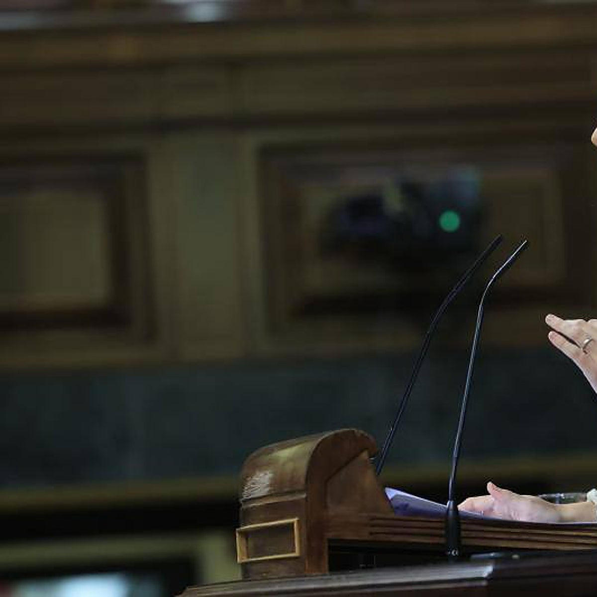 El Gobierno impone por ley hasta 16 tipos diferentes de familia