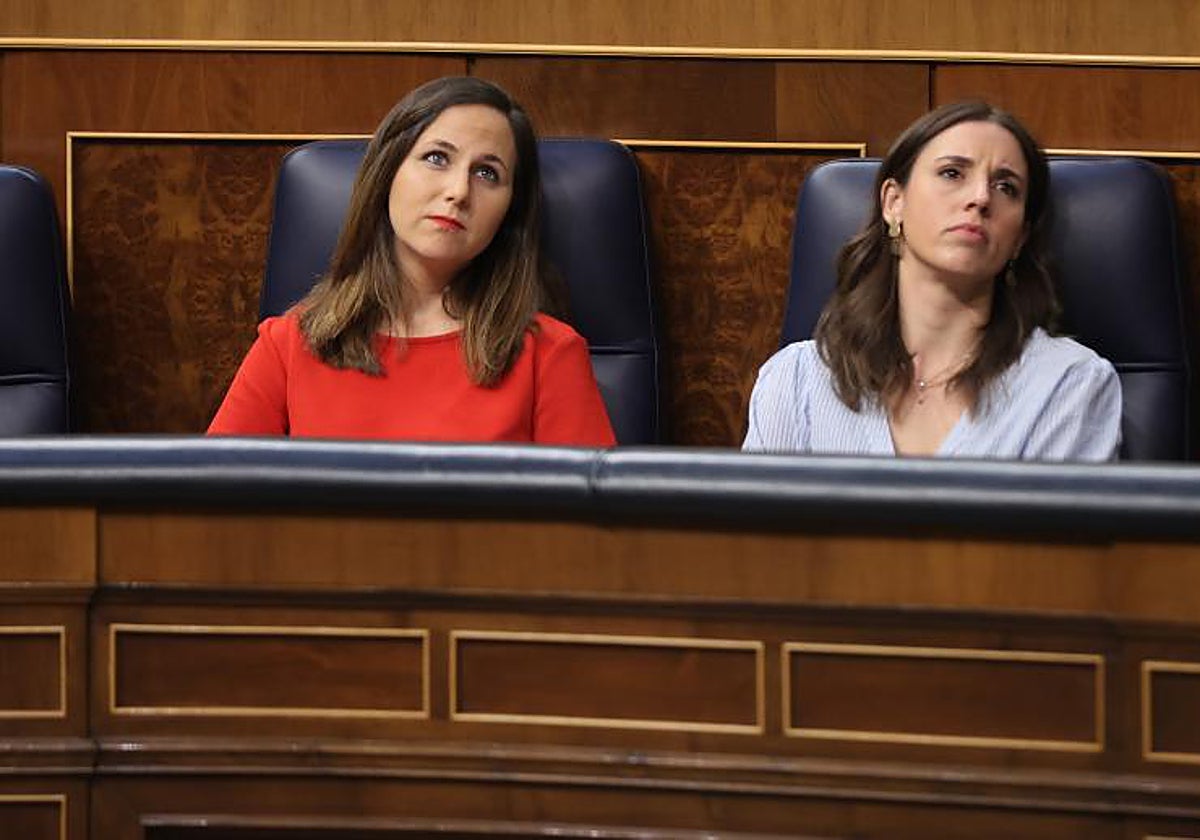 Las diferencias entre Podemos y PSOE hacen encallar la Ley de Bienestar Animal