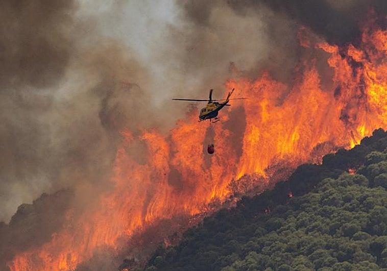 España registra el peor año de incendios forestales en casi tres décadas