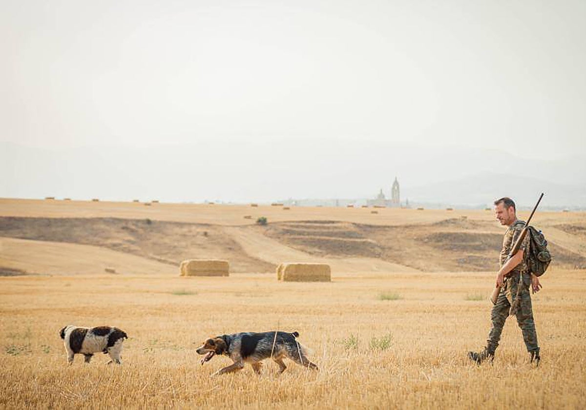 Cazador con sus perros en Segovia