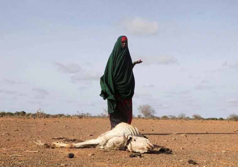 Más de un millón de somalíes, «desplazados forzosos» por la peor sequía en 40 años