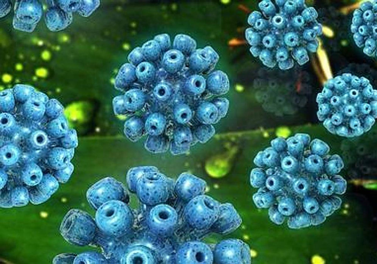 Virus de la hepatitis C