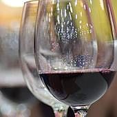 Irlanda incluirá el riesgo de cáncer en el etiquetado de cerveza y vino