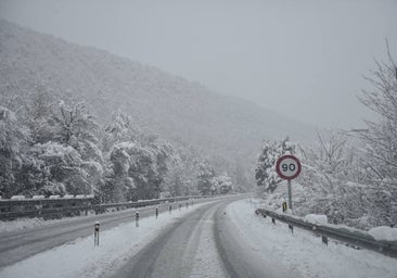 ¿Qué provincias están en alerta y dónde puede nevar hoy?