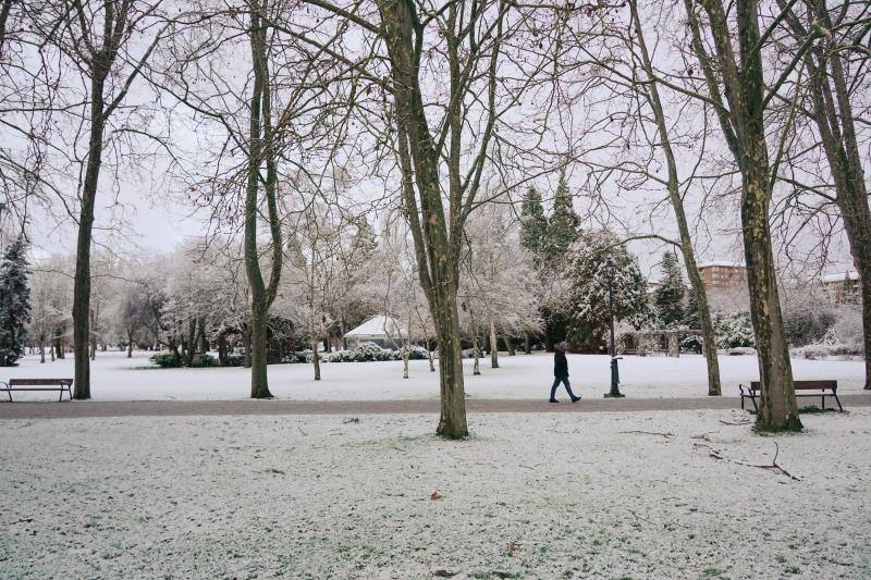 Un parque de la ciudad de Vitoria cubierto de nieve