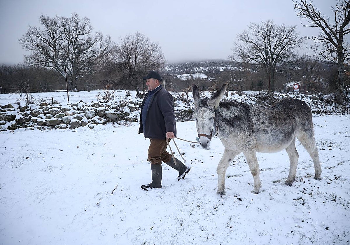 España, afectada por las grandes nevadas que ha dejado el paso de la borrasca Fien