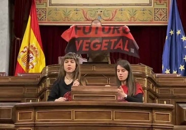 Dos activistas se pegan al atril del Congreso