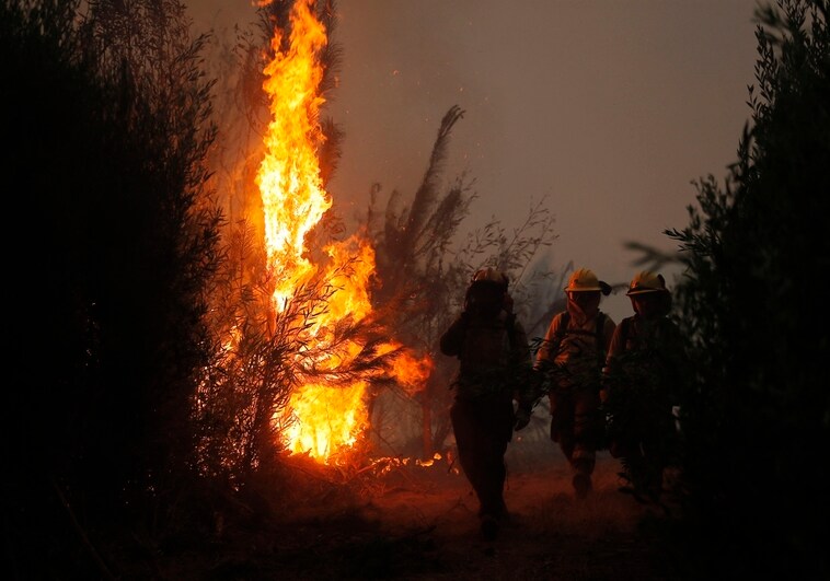 Brigadistas españoles se suman al combate de incendios en Chile