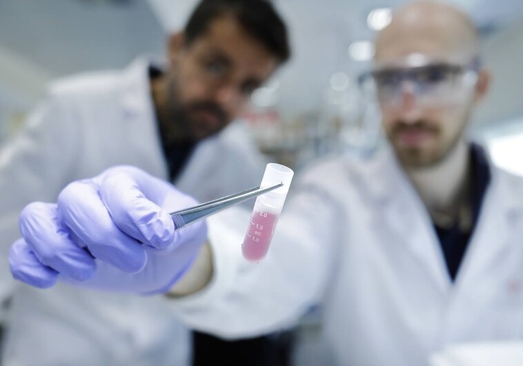La Fundación la Caixa lanza un programa para apoyar a 25 proyectos de investigación biomédica