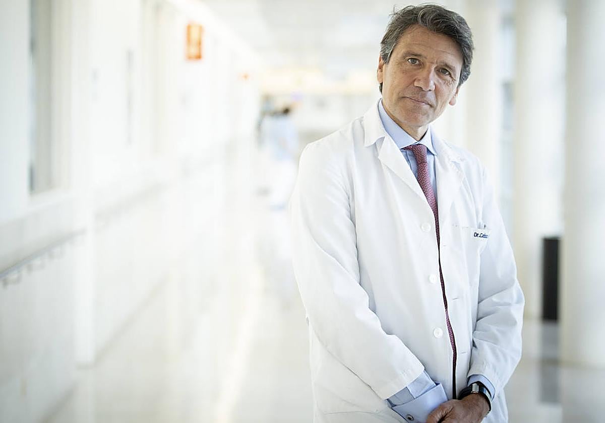 Celso Arango, jefe del Servicio de Psiquiatría del Niño y del Adolescente del Hospital Gregorio Marañón, y expresidente de la Sociedad Española de Psiquiatría